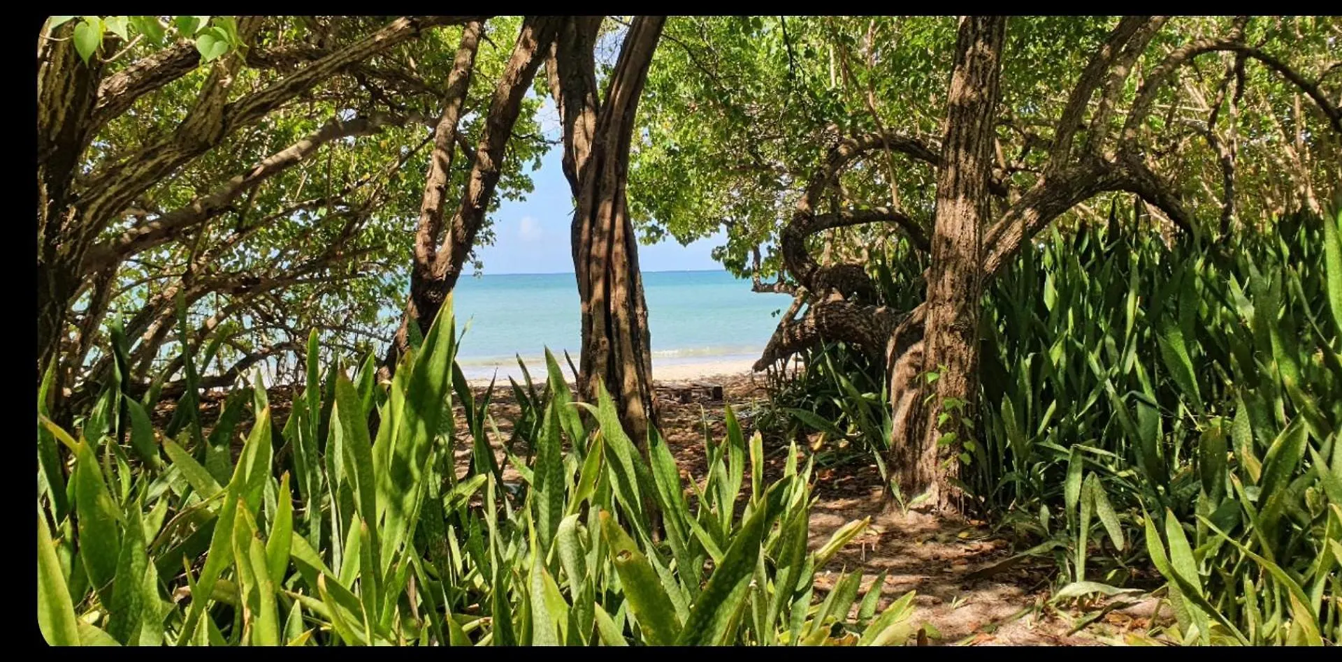 Apartment Ferienwohnung Kaz Cosy Sainte-Anne Martinique